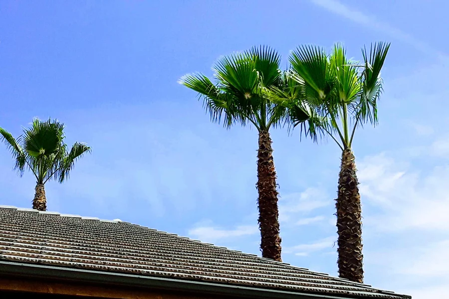 The Tree Guys's other services