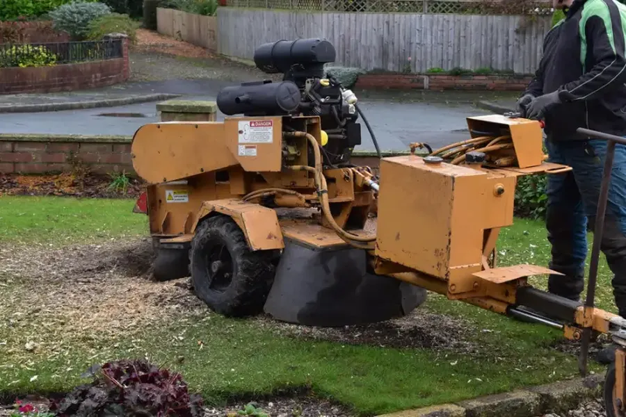 How To Choose The Right Stump Grinding Service For Your Needs in Perris, CA