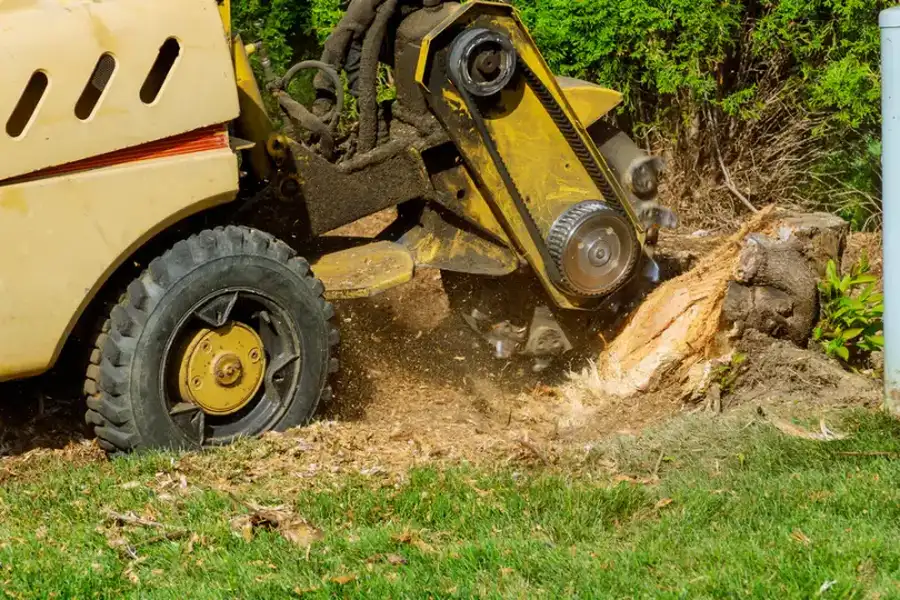 The Safety Benefits Of Professional Stump Grinding Services in Perris, CA