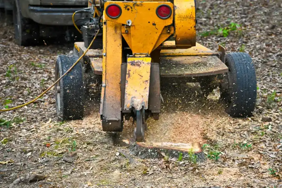 The Safety Benefits Of Professional Stump Grinding Services in Perris, CA